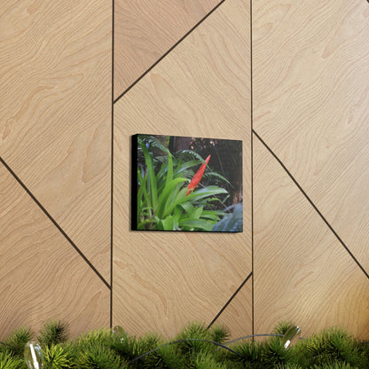 SMALL Canvas Gallery Wraps - Made in USA - Bromeliad in flower in El Yunque rainforest PR - Green Forest Home