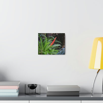 SMALL Canvas Gallery Wraps - Made in USA - Bromeliad in flower in El Yunque rainforest PR - Green Forest Home