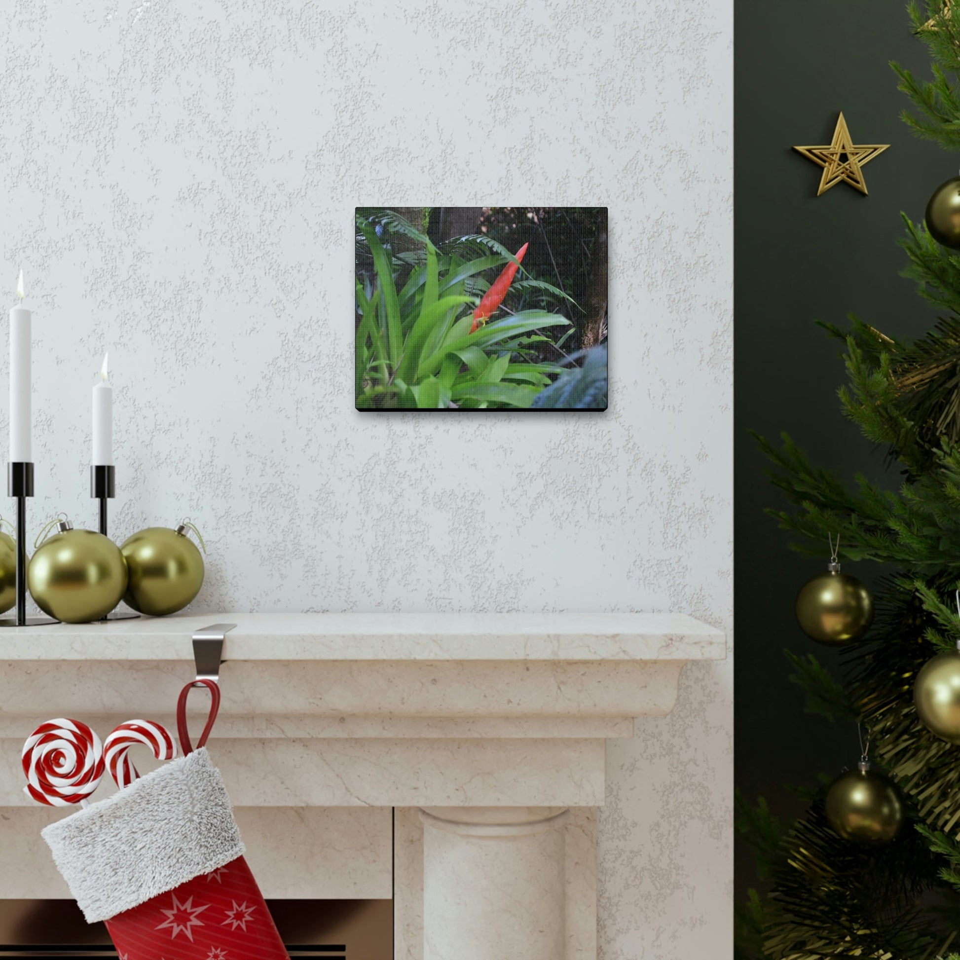 SMALL Canvas Gallery Wraps - Made in USA - Bromeliad in flower in El Yunque rainforest PR - Green Forest Home