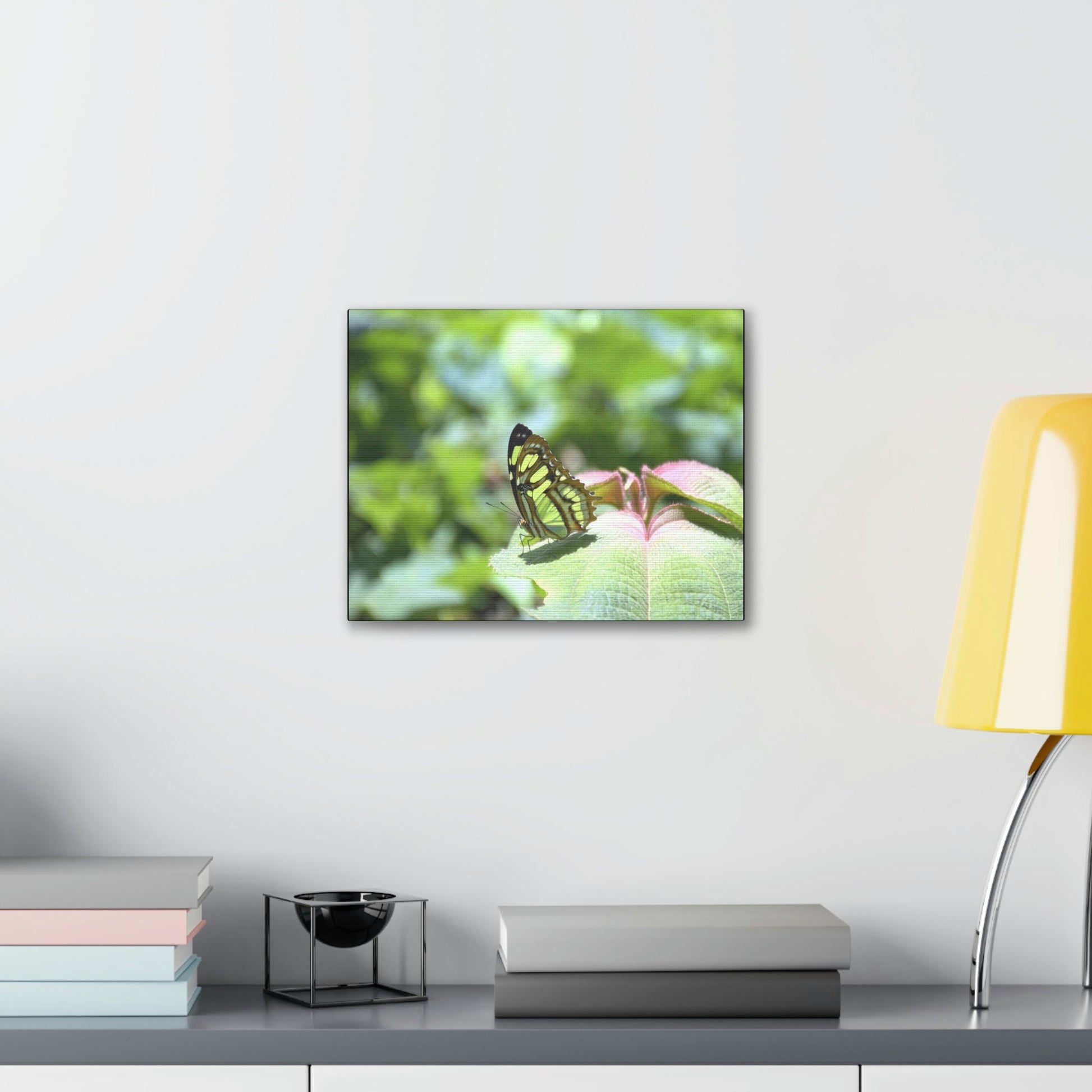SMALL Canvas Gallery Wraps - Made in USA - Color matched butterfly in El Yunque rainforest PR - Green Forest Home