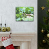 SMALL Canvas Gallery Wraps - Made in USA - Color matched butterfly in El Yunque rainforest PR - Green Forest Home