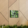 SMALL Canvas Gallery Wraps - Made in USA - Fern sprout - El Yunque rainforest PR - Green Forest Home