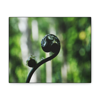 SMALL Canvas Gallery Wraps - Made in USA - Fern sprout - El Yunque rainforest PR - Green Forest Home