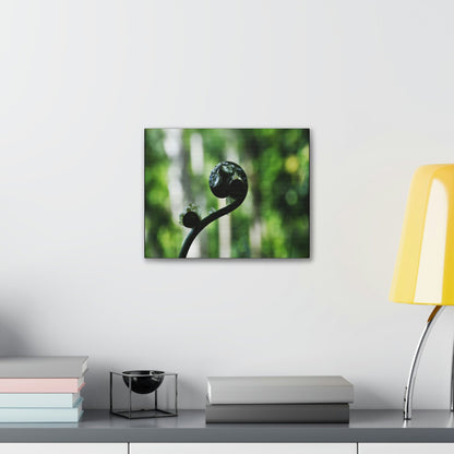 SMALL Canvas Gallery Wraps - Made in USA - Fern sprout - El Yunque rainforest PR - Green Forest Home