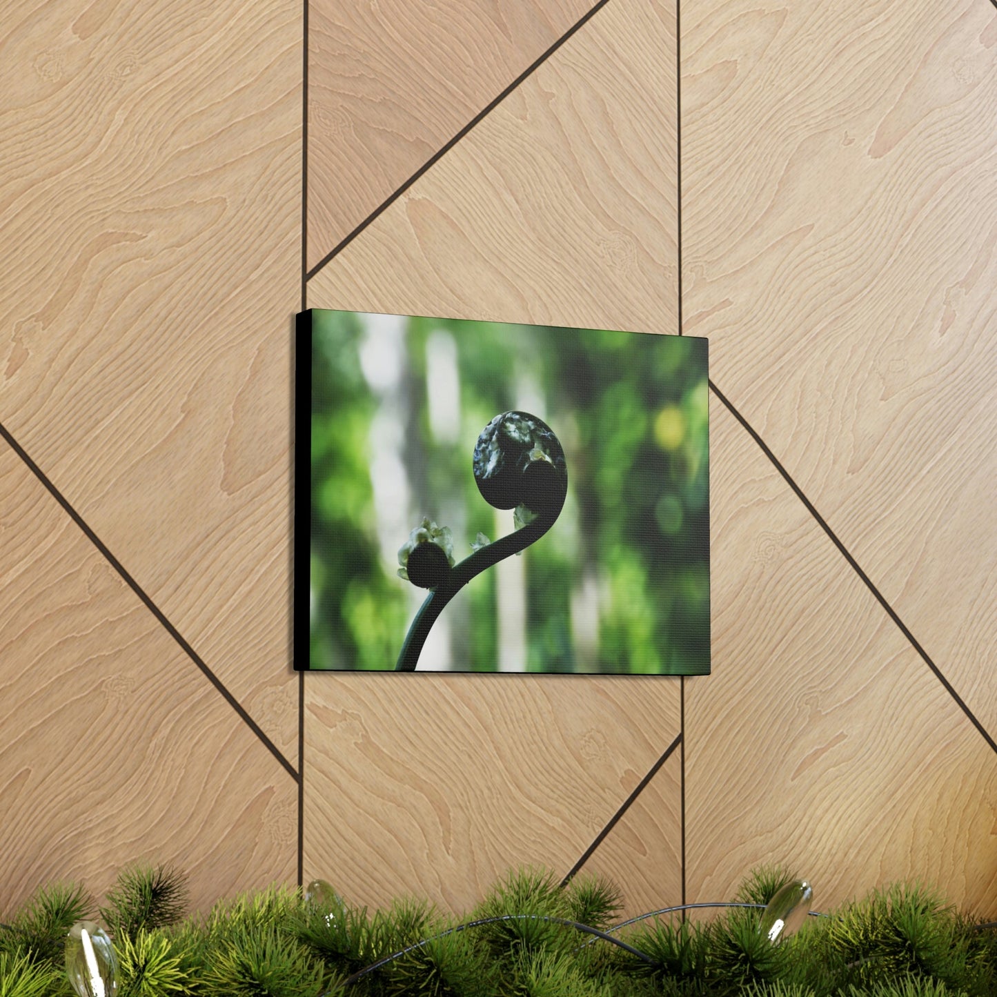 SMALL Canvas Gallery Wraps - Made in USA - Fern sprout - El Yunque rainforest PR - Green Forest Home