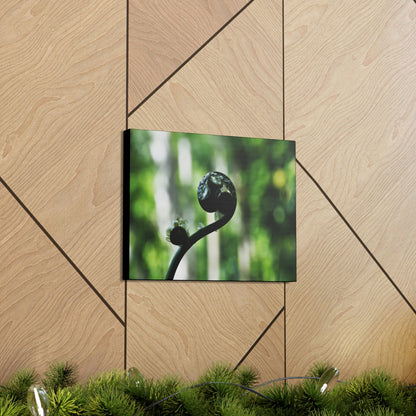 SMALL Canvas Gallery Wraps - Made in USA - Fern sprout - El Yunque rainforest PR - Green Forest Home