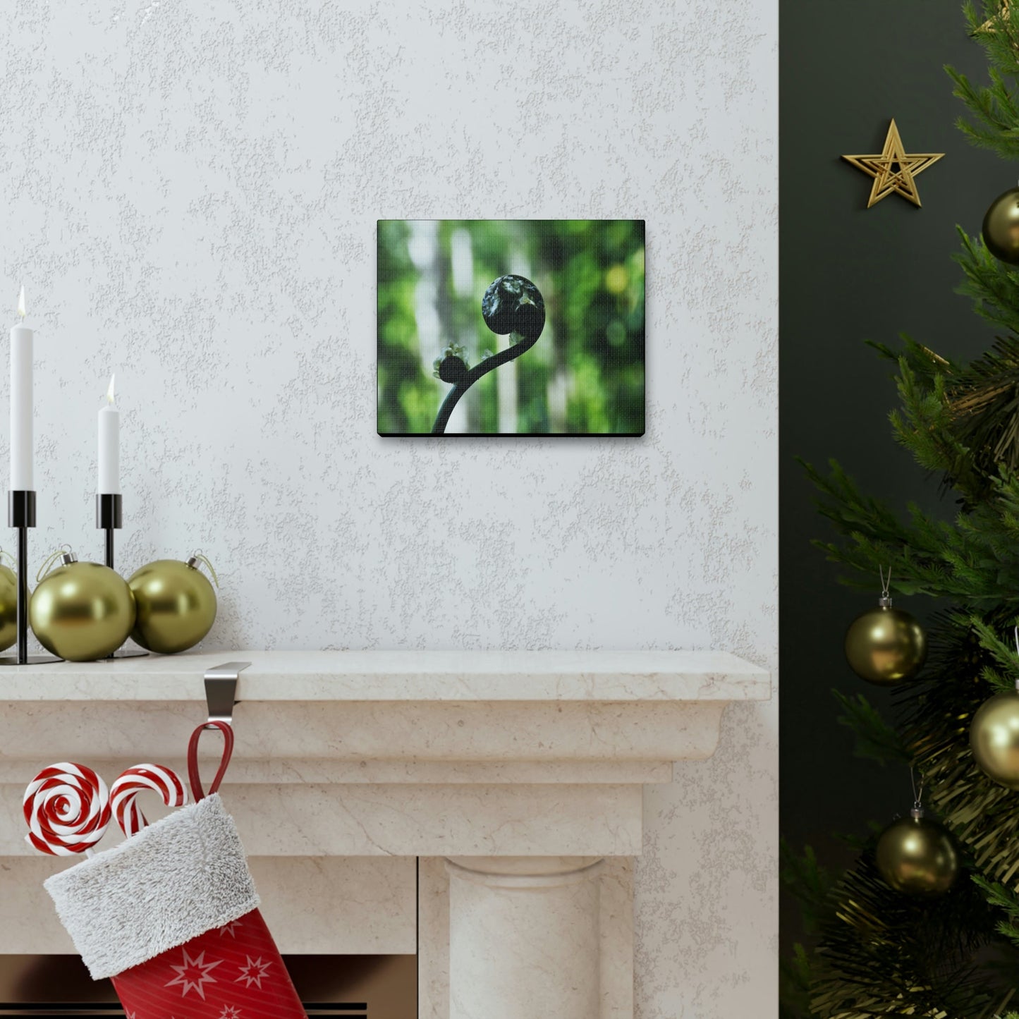 SMALL Canvas Gallery Wraps - Made in USA - Fern sprout - El Yunque rainforest PR - Green Forest Home