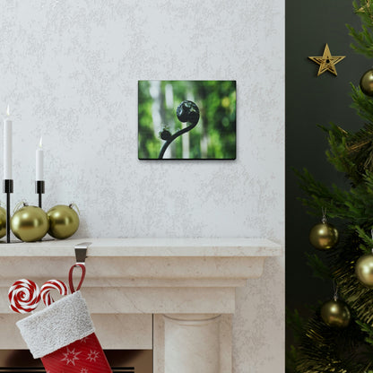SMALL Canvas Gallery Wraps - Made in USA - Fern sprout - El Yunque rainforest PR - Green Forest Home