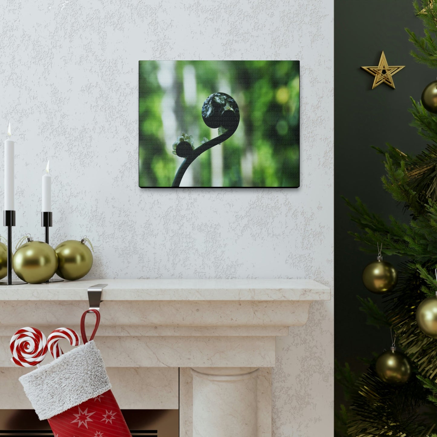 SMALL Canvas Gallery Wraps - Made in USA - Fern sprout - El Yunque rainforest PR - Green Forest Home