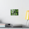 SMALL Canvas Gallery Wraps - Made in USA - Fern sprout - El Yunque rainforest PR - Green Forest Home