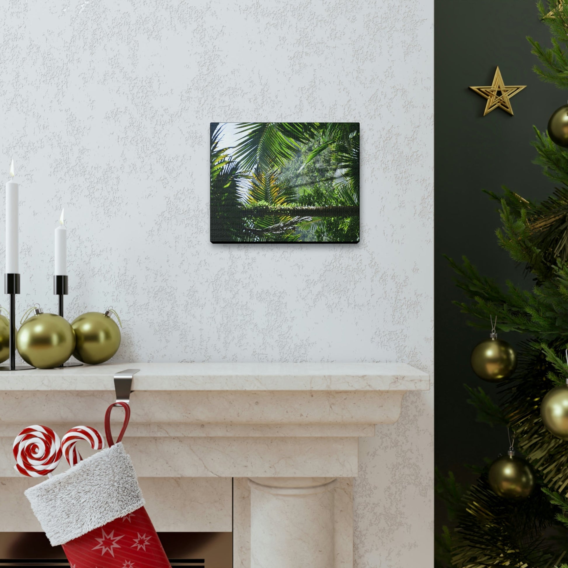 SMALL Canvas Gallery Wraps - Made in USA - Messed up forest in recovery after Hurricane Maria in 2017 - El Yunque rainforest PR - Green Forest Home