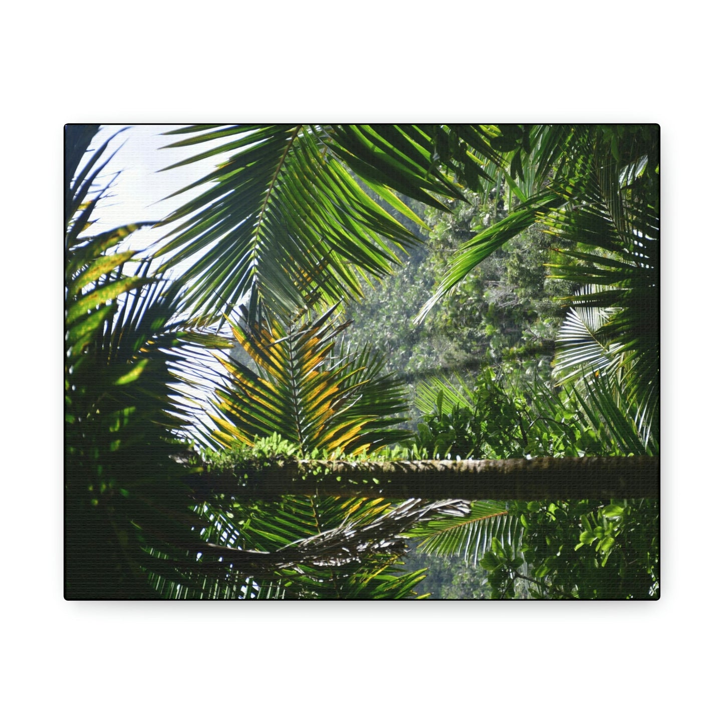 SMALL Canvas Gallery Wraps - Made in USA - Messed up forest in recovery after Hurricane Maria in 2017 - El Yunque rainforest PR - Green Forest Home