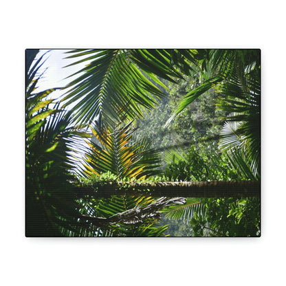 SMALL Canvas Gallery Wraps - Made in USA - Messed up forest in recovery after Hurricane Maria in 2017 - El Yunque rainforest PR - Green Forest Home