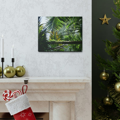 SMALL Canvas Gallery Wraps - Made in USA - Messed up forest in recovery after Hurricane Maria in 2017 - El Yunque rainforest PR - Green Forest Home