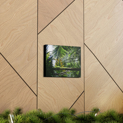 SMALL Canvas Gallery Wraps - Made in USA - Messed up forest in recovery after Hurricane Maria in 2017 - El Yunque rainforest PR - Green Forest Home