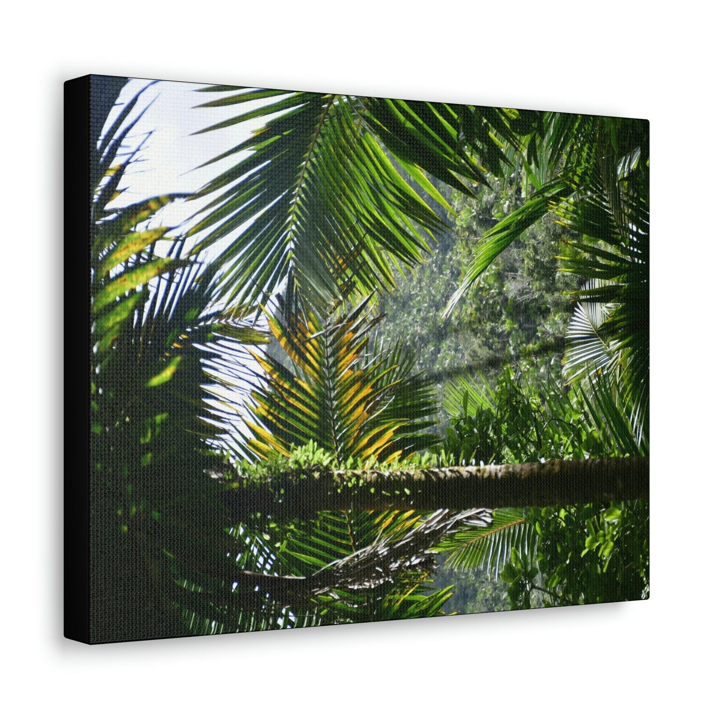 SMALL Canvas Gallery Wraps - Made in USA - Messed up forest in recovery after Hurricane Maria in 2017 - El Yunque rainforest PR - Green Forest Home