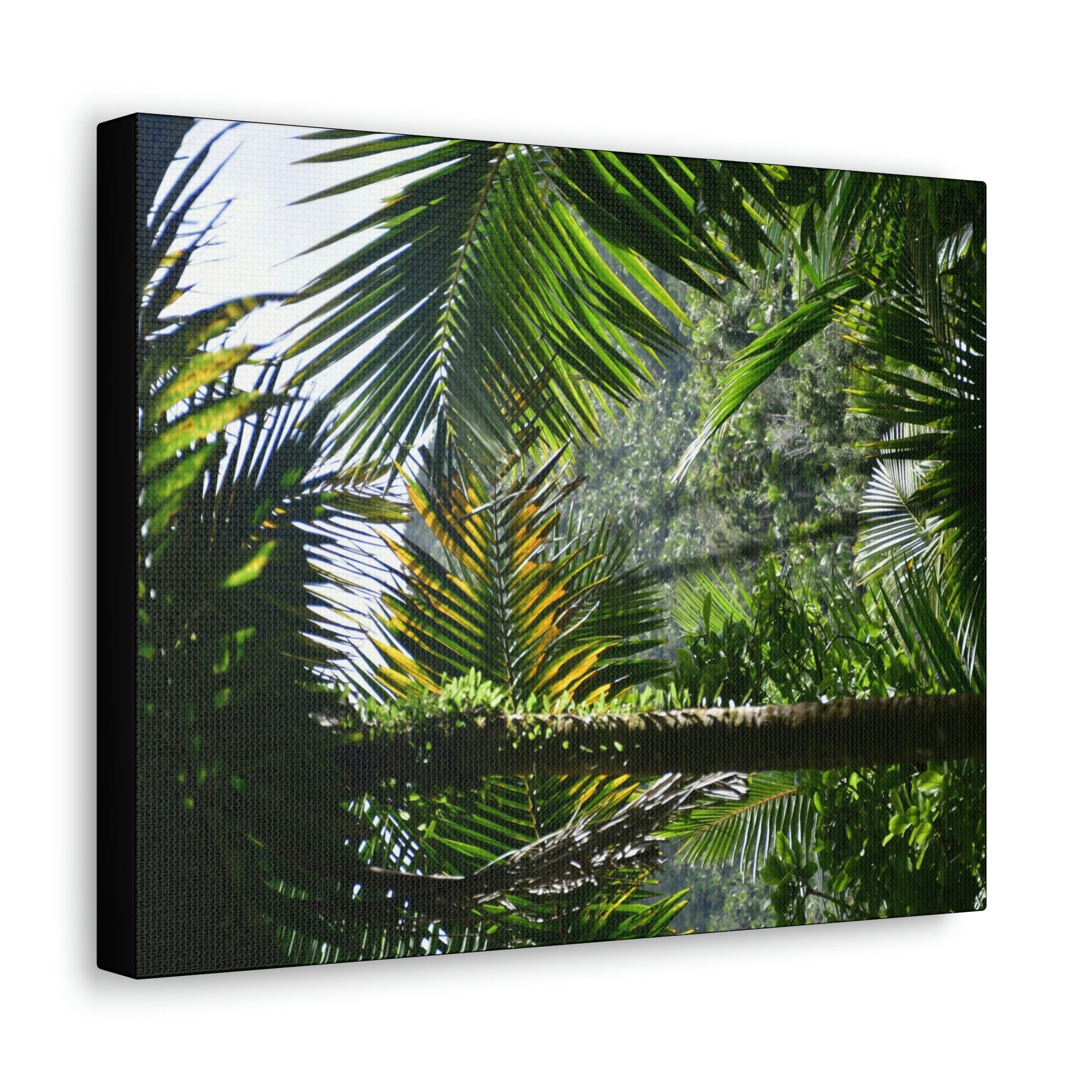 SMALL Canvas Gallery Wraps - Made in USA - Messed up forest in recovery after Hurricane Maria in 2017 - El Yunque rainforest PR - Green Forest Home