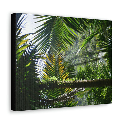 SMALL Canvas Gallery Wraps - Made in USA - Messed up forest in recovery after Hurricane Maria in 2017 - El Yunque rainforest PR - Green Forest Home