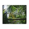 SMALL Canvas Gallery Wraps - Made in USA - Messed up forest in recovery after Hurricane Maria in 2017 - El Yunque rainforest PR - Green Forest Home