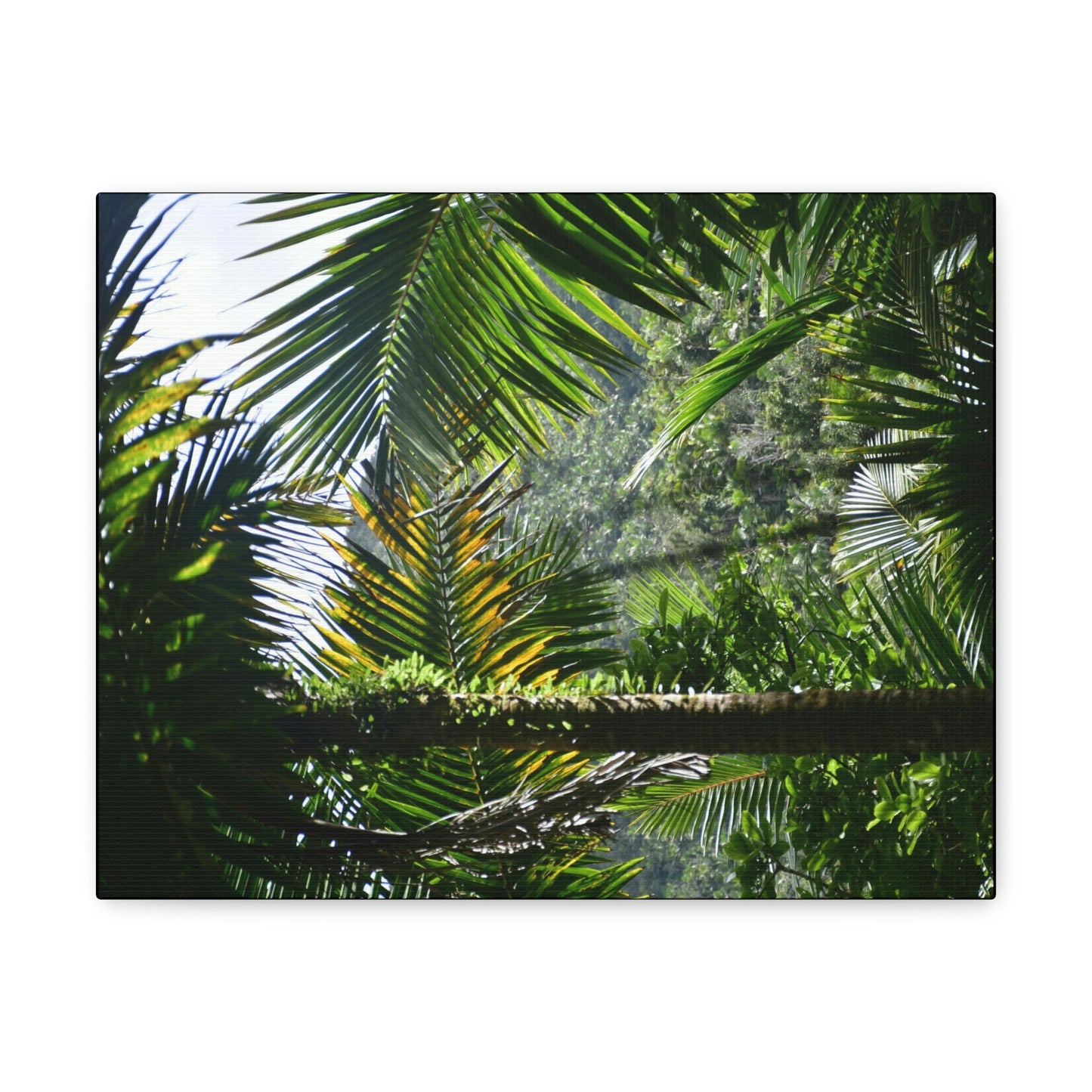 SMALL Canvas Gallery Wraps - Made in USA - Messed up forest in recovery after Hurricane Maria in 2017 - El Yunque rainforest PR - Green Forest Home