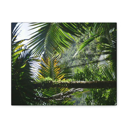 SMALL Canvas Gallery Wraps - Made in USA - Messed up forest in recovery after Hurricane Maria in 2017 - El Yunque rainforest PR - Green Forest Home