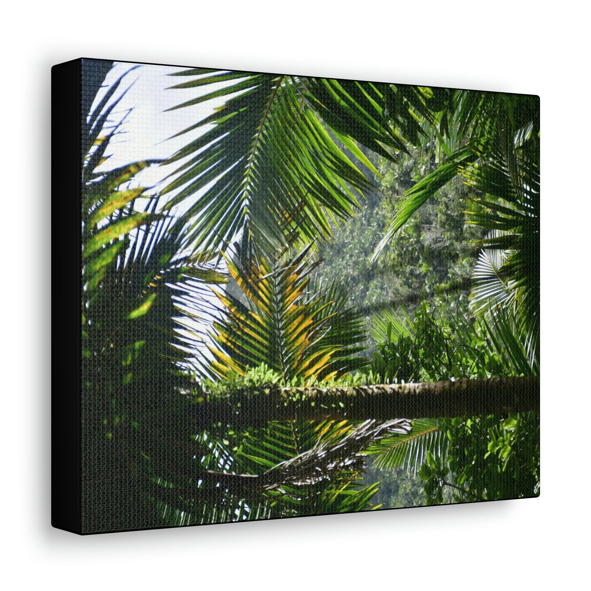 SMALL Canvas Gallery Wraps - Made in USA - Messed up forest in recovery after Hurricane Maria in 2017 - El Yunque rainforest PR - Green Forest Home