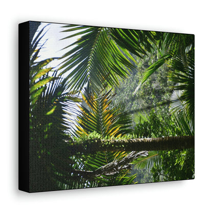 SMALL Canvas Gallery Wraps - Made in USA - Messed up forest in recovery after Hurricane Maria in 2017 - El Yunque rainforest PR - Green Forest Home