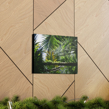 SMALL Canvas Gallery Wraps - Made in USA - Messed up forest in recovery after Hurricane Maria in 2017 - El Yunque rainforest PR - Green Forest Home