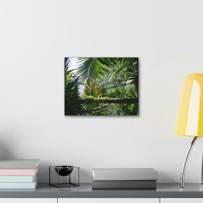 SMALL Canvas Gallery Wraps - Made in USA - Messed up forest in recovery after Hurricane Maria in 2017 - El Yunque rainforest PR - Green Forest Home