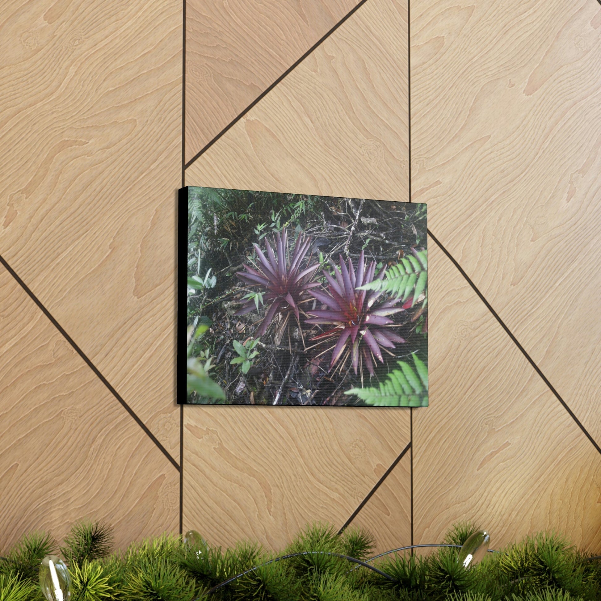 SMALL Canvas Gallery Wraps - Made in USA - Rare red Bromeliads in flower in El Yunque rainforest - Rio Sabana trail PR - Green Forest Home