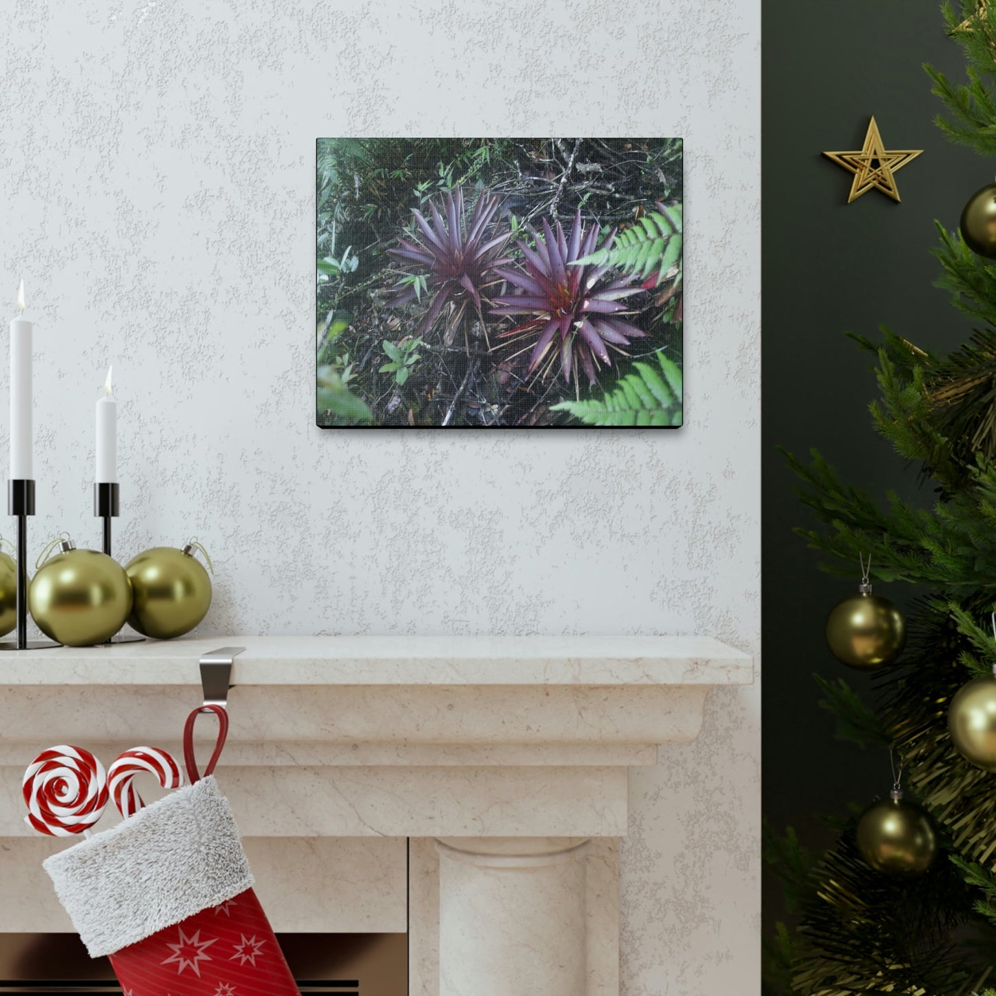 SMALL Canvas Gallery Wraps - Made in USA - Rare red Bromeliads in flower in El Yunque rainforest - Rio Sabana trail PR - Green Forest Home