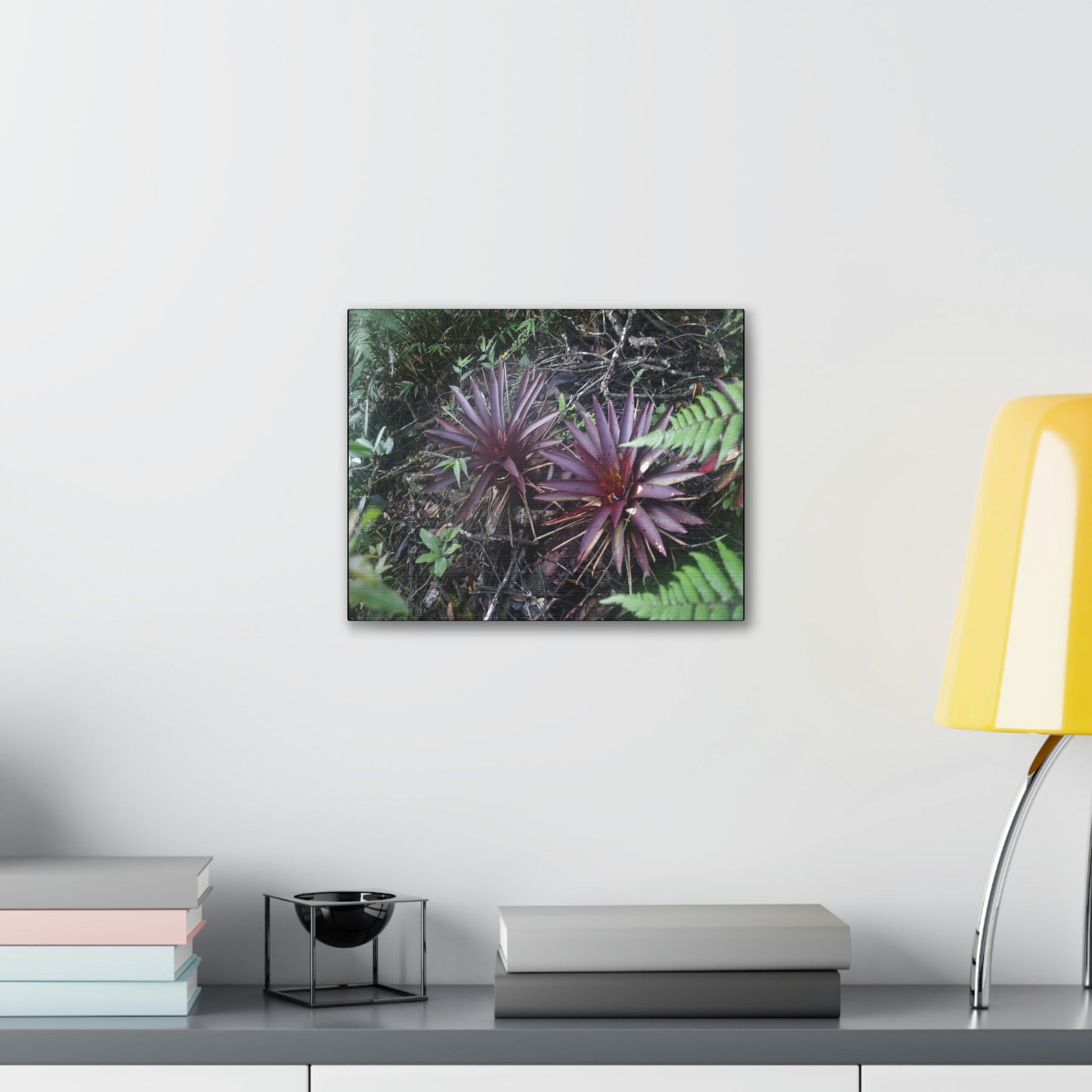 SMALL Canvas Gallery Wraps - Made in USA - Rare red Bromeliads in flower in El Yunque rainforest - Rio Sabana trail PR - Green Forest Home