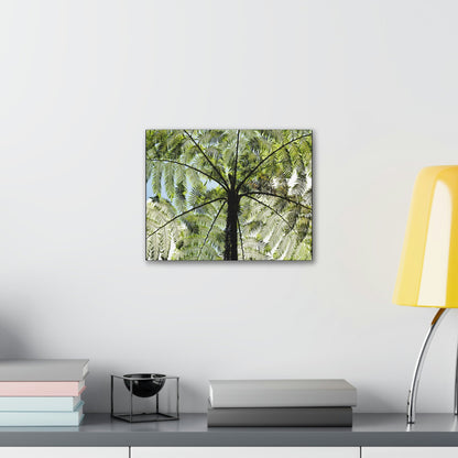 SMALL Canvas Gallery Wraps - Made in USA - The ancient Fern Palm - El Yunque rainforest - Rio Sabana trail PR - Green Forest Home