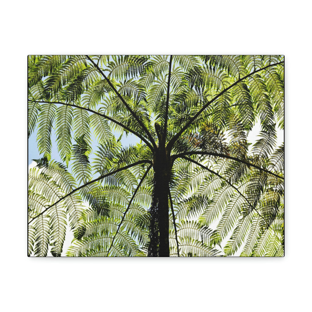 SMALL Canvas Gallery Wraps - Made in USA - The ancient Fern Palm - El Yunque rainforest - Rio Sabana trail PR - Green Forest Home