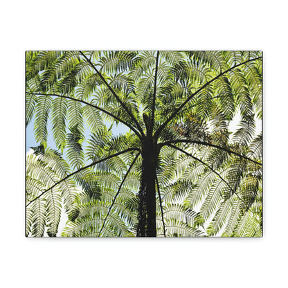 SMALL Canvas Gallery Wraps - Made in USA - The ancient Fern Palm - El Yunque rainforest - Rio Sabana trail PR - Green Forest Home