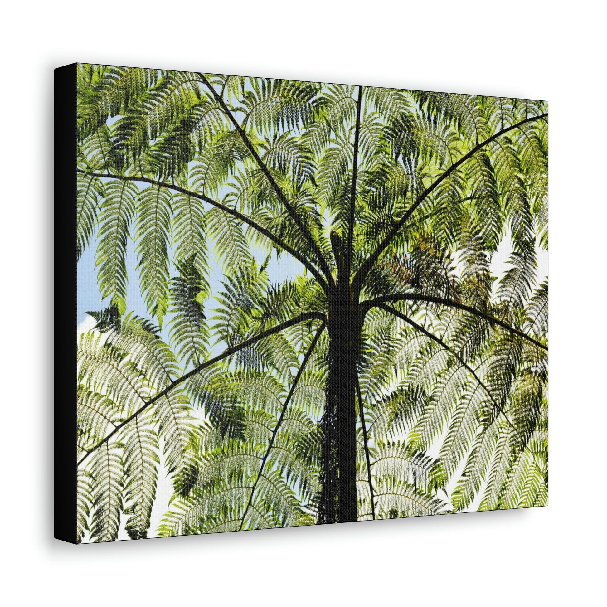 SMALL Canvas Gallery Wraps - Made in USA - The ancient Fern Palm - El Yunque rainforest - Rio Sabana trail PR - Green Forest Home