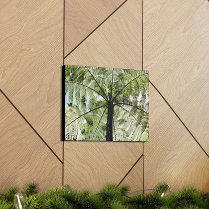 SMALL Canvas Gallery Wraps - Made in USA - The ancient Fern Palm - El Yunque rainforest - Rio Sabana trail PR - Green Forest Home