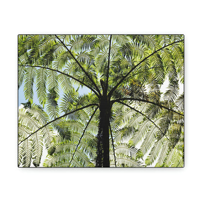 SMALL Canvas Gallery Wraps - Made in USA - The ancient Fern Palm - El Yunque rainforest - Rio Sabana trail PR - Green Forest Home