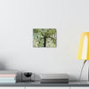 SMALL Canvas Gallery Wraps - Made in USA - The ancient Fern Palm - El Yunque rainforest - Rio Sabana trail PR - Green Forest Home