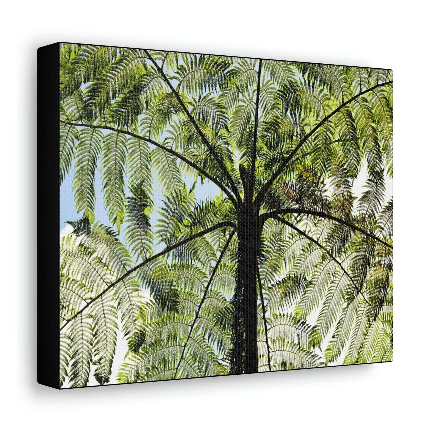 SMALL Canvas Gallery Wraps - Made in USA - The ancient Fern Palm - El Yunque rainforest - Rio Sabana trail PR - Green Forest Home