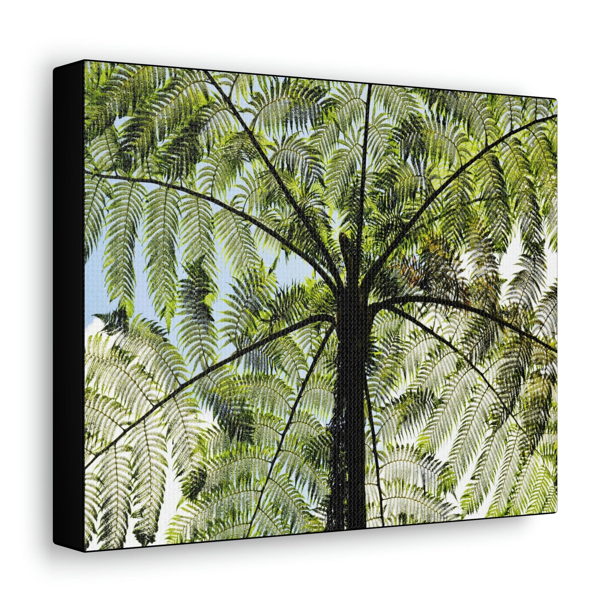 SMALL Canvas Gallery Wraps - Made in USA - The ancient Fern Palm - El Yunque rainforest - Rio Sabana trail PR - Green Forest Home