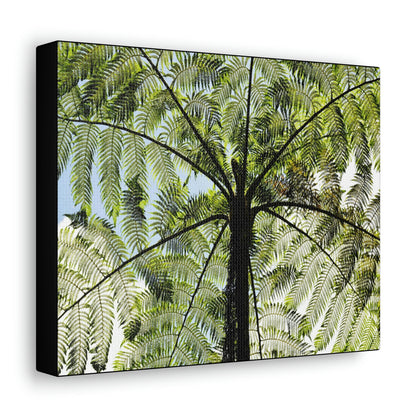 SMALL Canvas Gallery Wraps - Made in USA - The ancient Fern Palm - El Yunque rainforest - Rio Sabana trail PR - Green Forest Home