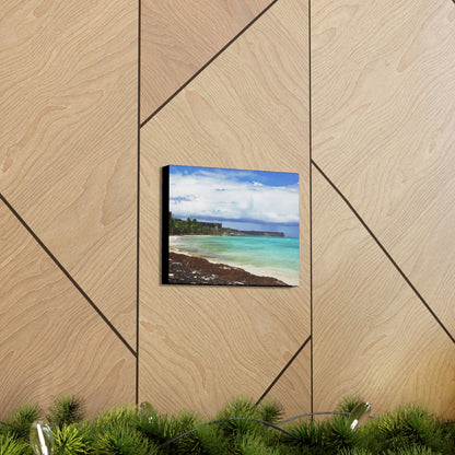 SMALL Canvas Gallery Wraps - US MADE - Pristine & remote Mona island Puerto Rico - hidden paradise - Playa Pajaros - Green Forest Home