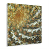 Square Acrylic Prints - US Made - Ideal for a Stunning Home/Office Decor Ideas - Inspirations from Nature - Remote Mona island Cactus Closeup - Green Forest Home