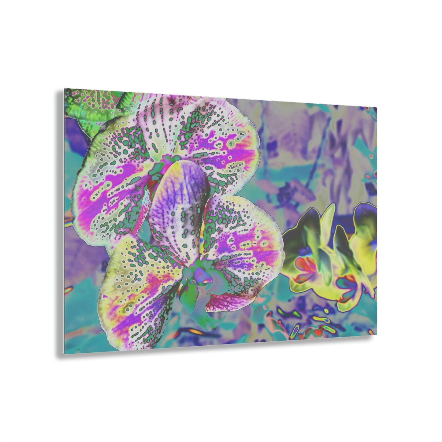 Stunning Acrylic Prints - Amazing Tropical Orchids Digital ART - from Isabela Puerto Rico - Made in USA - Best Home Decor Ideas - Green Forest Home