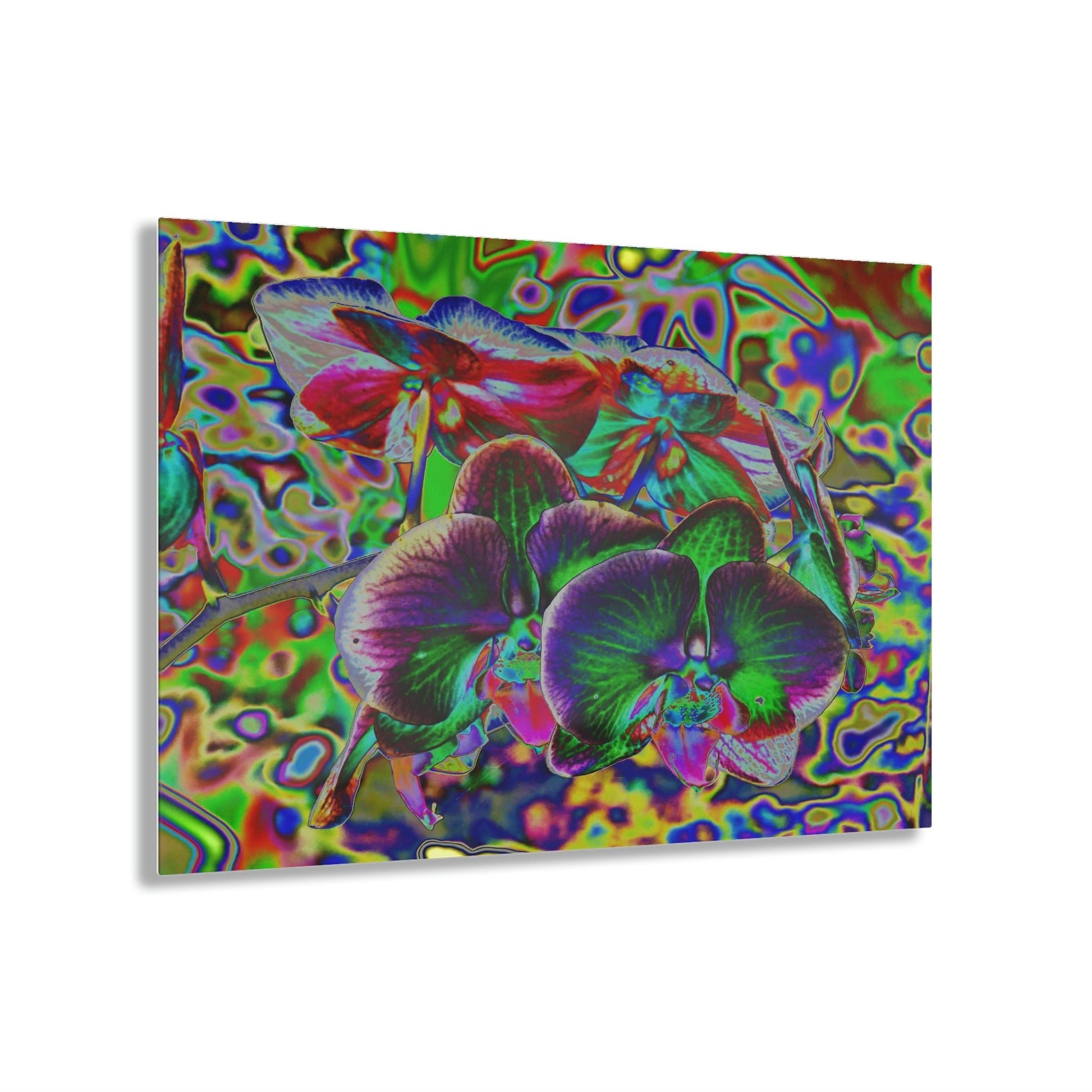 Stunning US Made Acrylic Prints - Amazing Orchids - Isabela Puerto Rico - Best Home Decor Ideas* - Green Forest Home