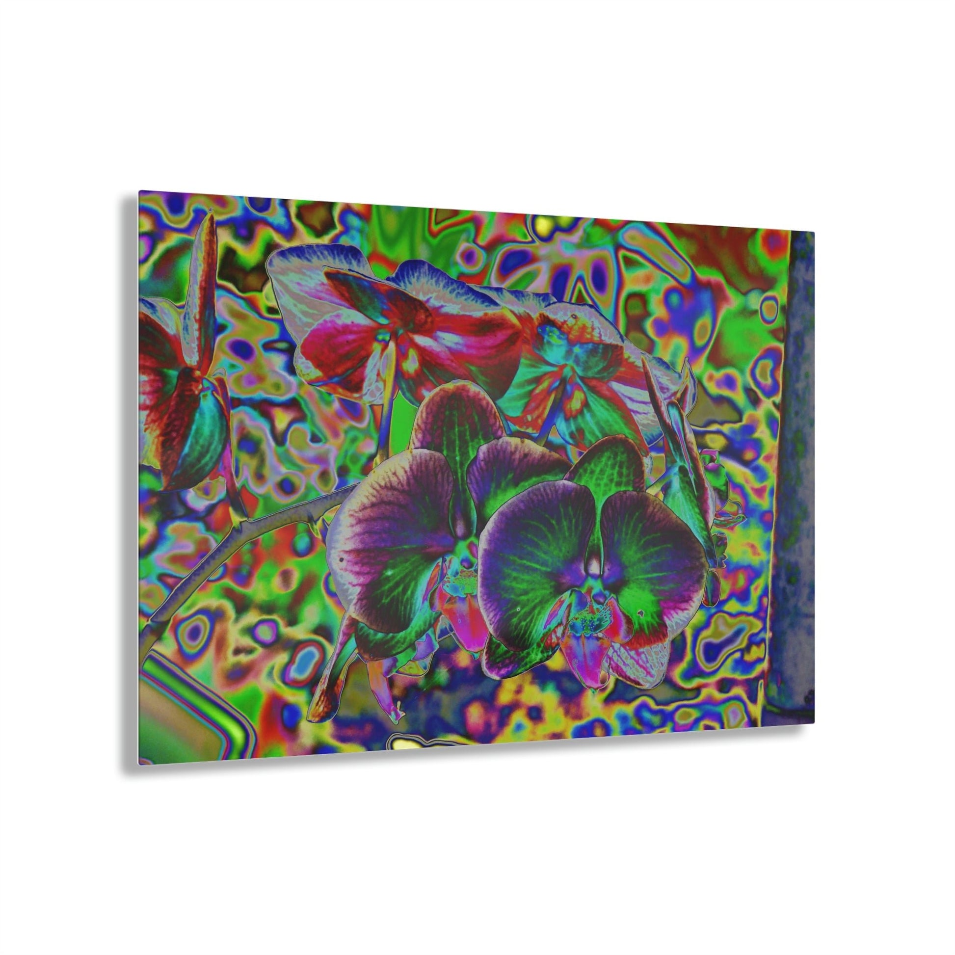 Stunning US Made Acrylic Prints - Amazing Orchids - Isabela Puerto Rico - Best Home Decor Ideas* - Green Forest Home