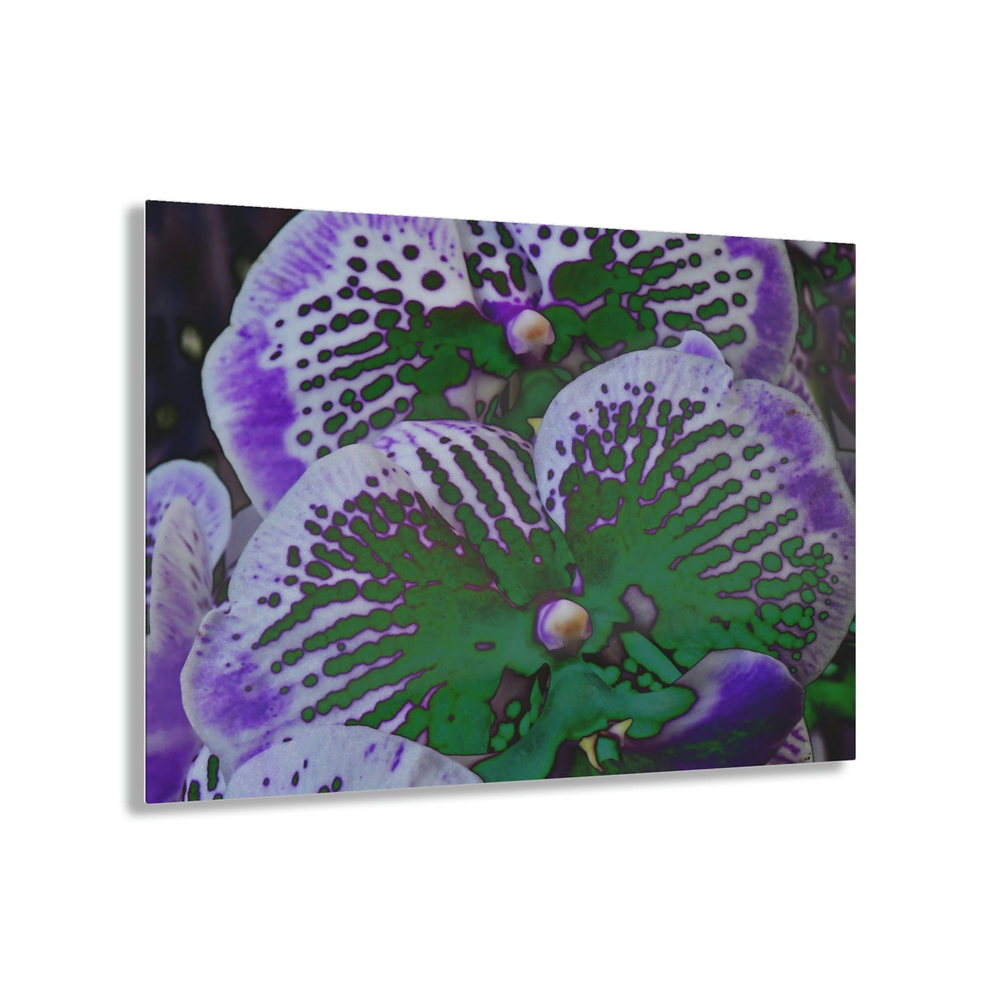Stunning US Made Acrylic Prints - Amazing Tropical Orchids Digital ART - from Isabela Puerto Rico - Best Home Decor Ideas - Green Forest Home
