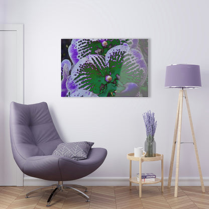 Stunning US Made Acrylic Prints - Amazing Tropical Orchids Digital ART - from Isabela Puerto Rico - Best Home Decor Ideas - Green Forest Home