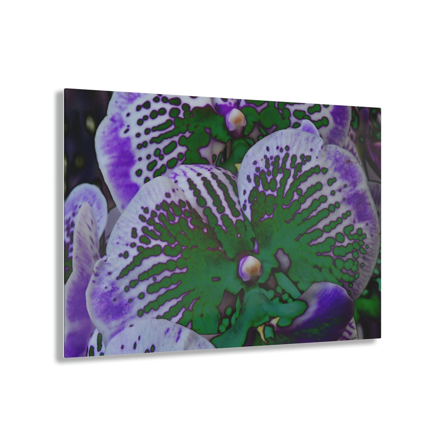 Stunning US Made Acrylic Prints - Amazing Tropical Orchids Digital ART - from Isabela Puerto Rico - Best Home Decor Ideas - Green Forest Home